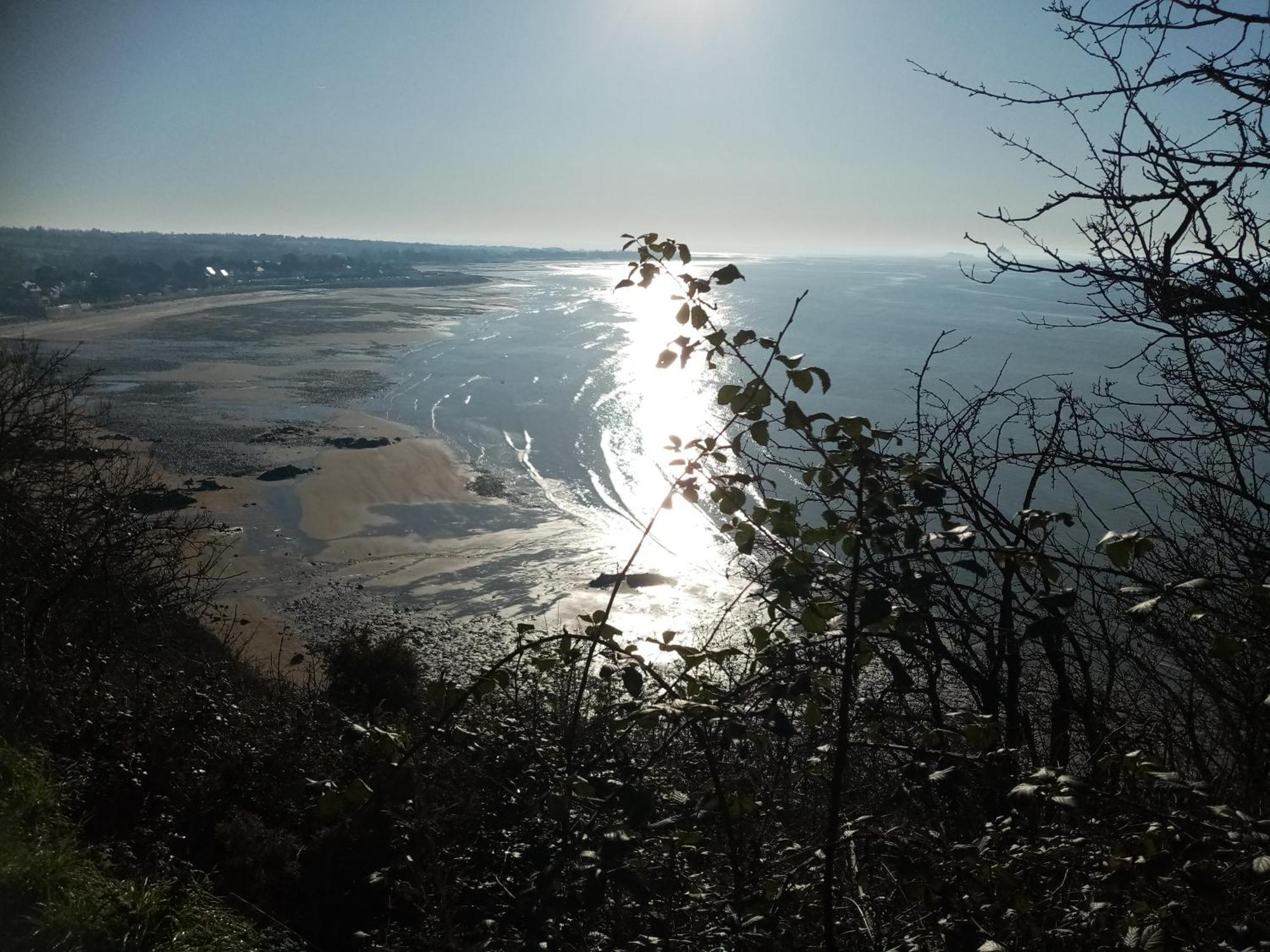 La Campagne Au Bord De La Mer, Chambre Chez L'Habitant Champeaux Eksteriør bilde