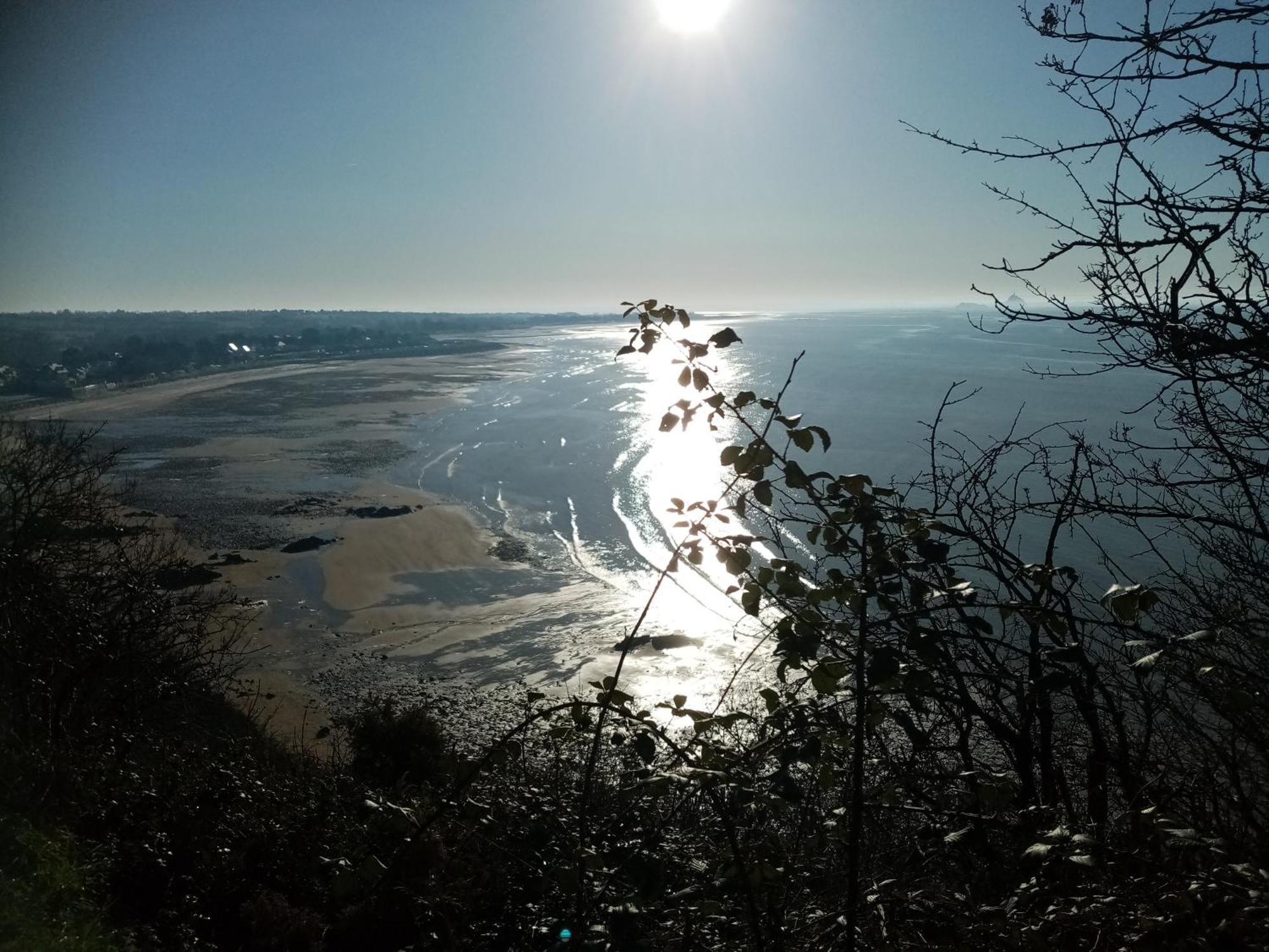 La Campagne Au Bord De La Mer, Chambre Chez L'Habitant Champeaux Eksteriør bilde